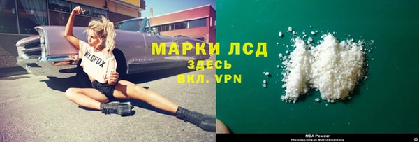 стафф Алзамай