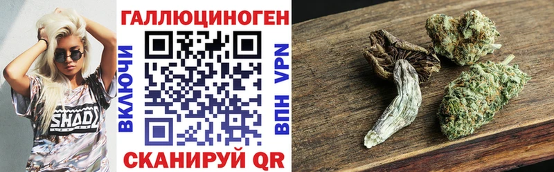 как найти закладки  Хабаровск  Галлюциногенные грибы Psilocybine cubensis 