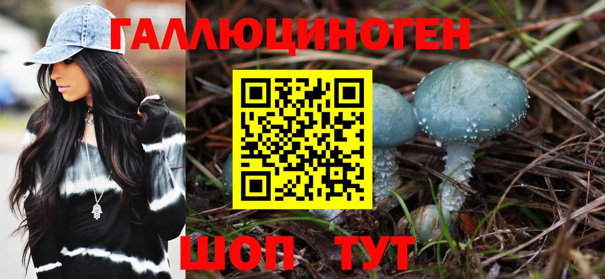 Псилоцибиновые грибы GOLDEN TEACHER Хабаровск