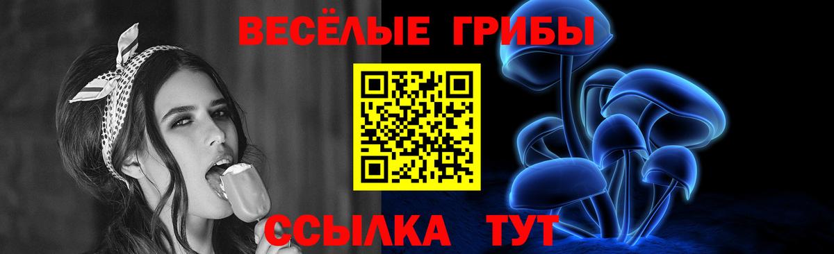 Хабаровск  Галлюциногенные грибы Cubensis  что такое   Вход с VPN 